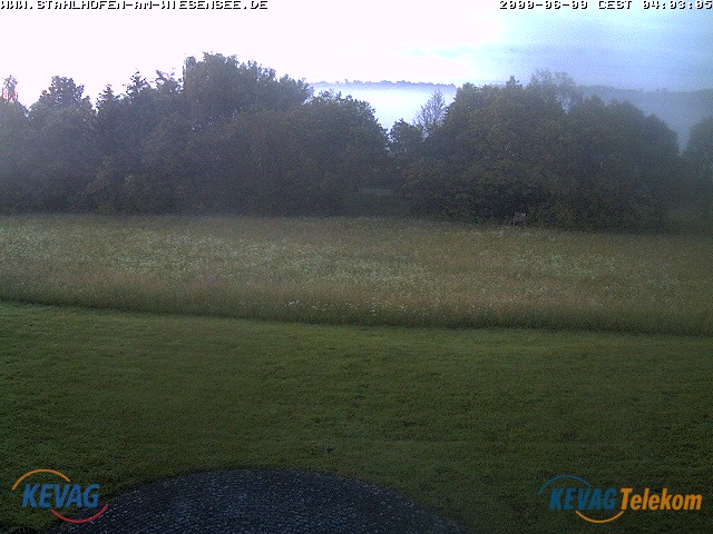 Live-Bild vom Wiesensee