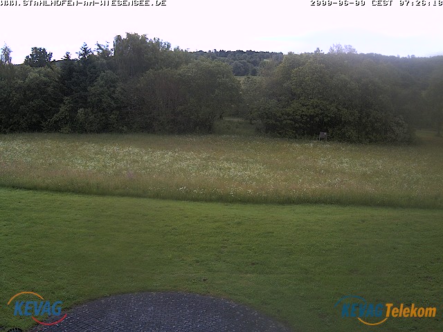 Live-Bild vom Wiesensee