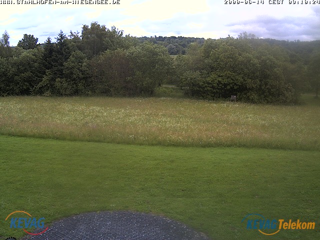 Live-Bild vom Wiesensee
