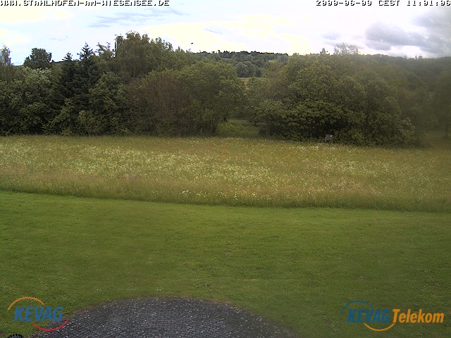 Live-Bild vom Wiesensee