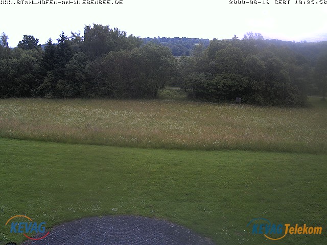 Live-Bild vom Wiesensee