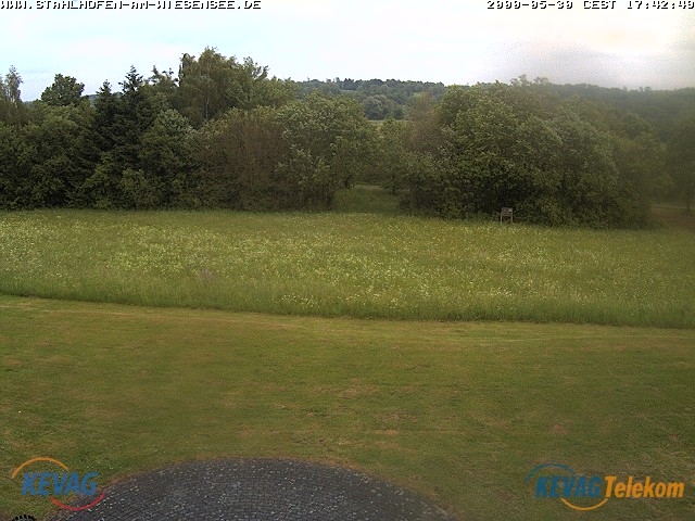 Live-Bild vom Wiesensee