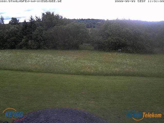 Live-Bild vom Wiesensee