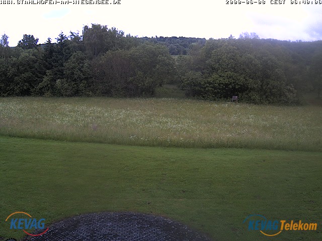 Live-Bild vom Wiesensee