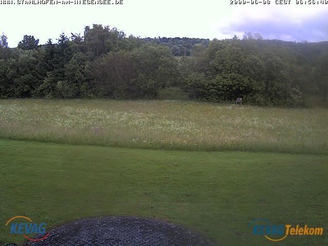 Live-Bild vom Wiesensee