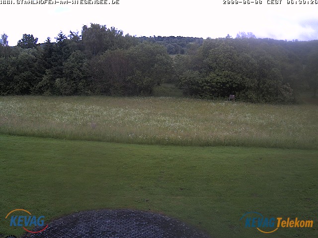 Live-Bild vom Wiesensee