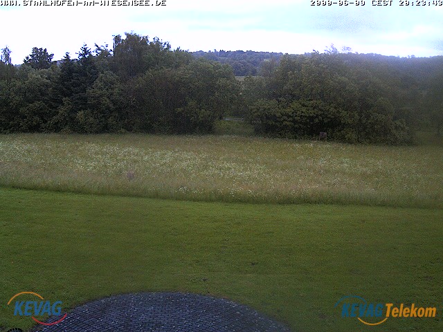 Live-Bild vom Wiesensee