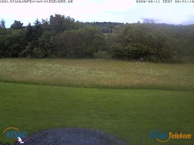 Live-Bild vom Wiesensee