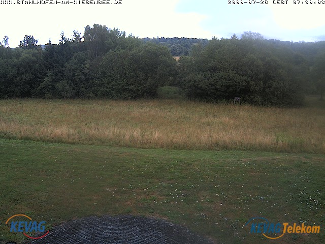 Live-Bild vom Wiesensee