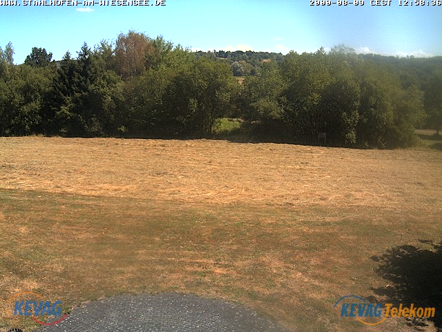 Live-Bild vom Wiesensee