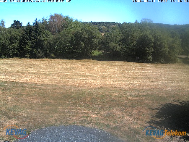 Live-Bild vom Wiesensee