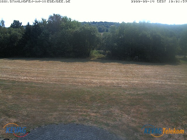 Live-Bild vom Wiesensee