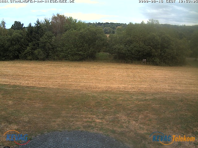 Live-Bild vom Wiesensee