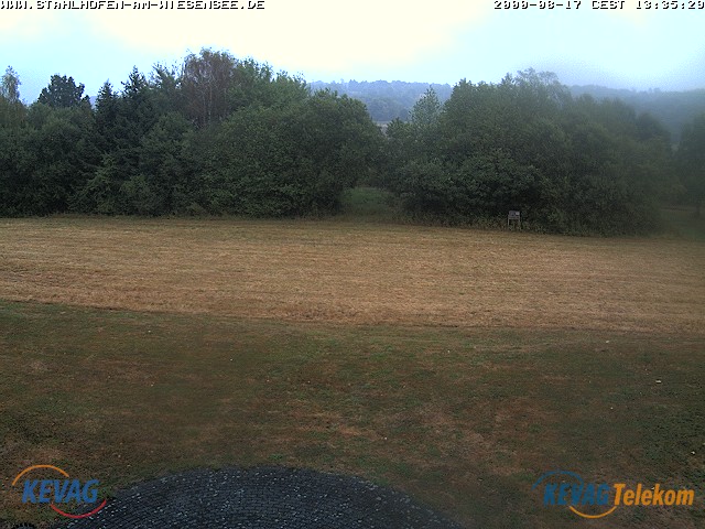 Live-Bild vom Wiesensee