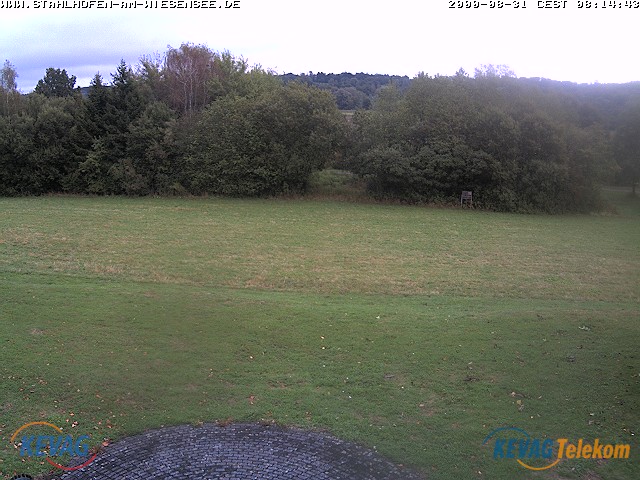 Live-Bild vom Wiesensee