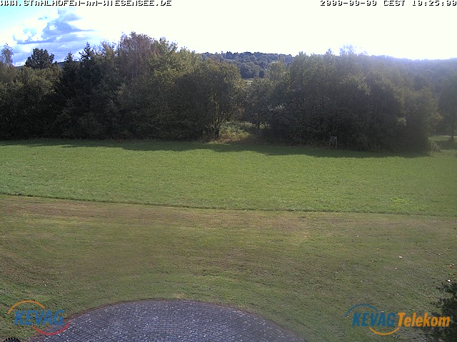 Live-Bild vom Wiesensee