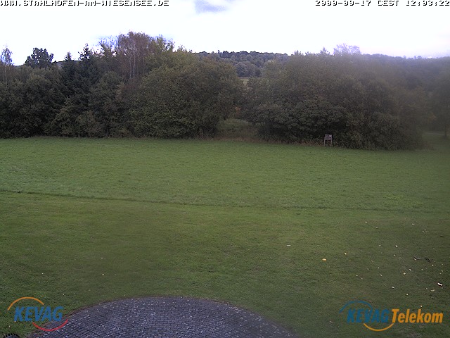 Live-Bild vom Wiesensee