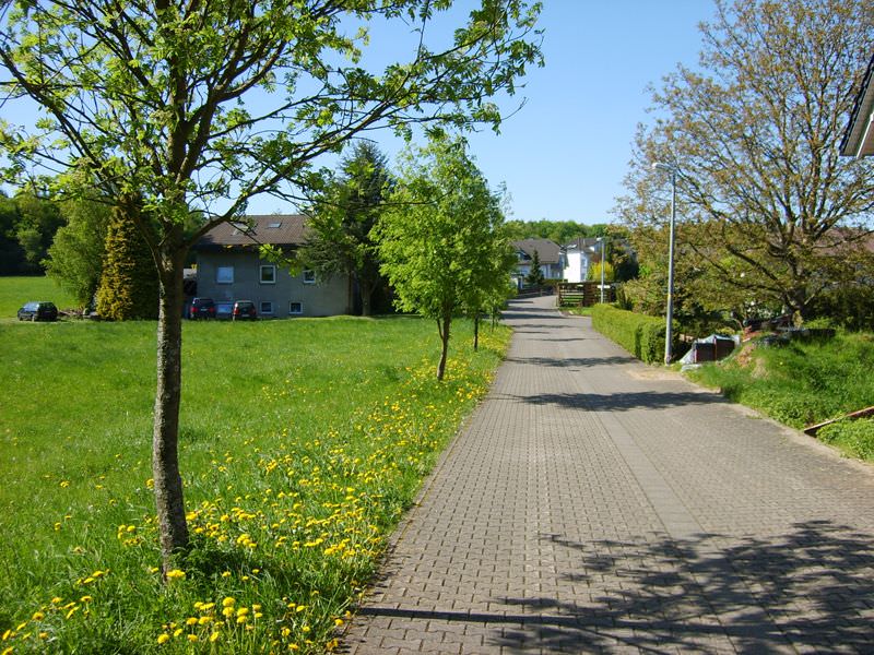 Gepflasterter Weg durch Wohngebiet mit blühenden Wiesen, Bäumen und Wohnhäusern bei sonnigem Wetter