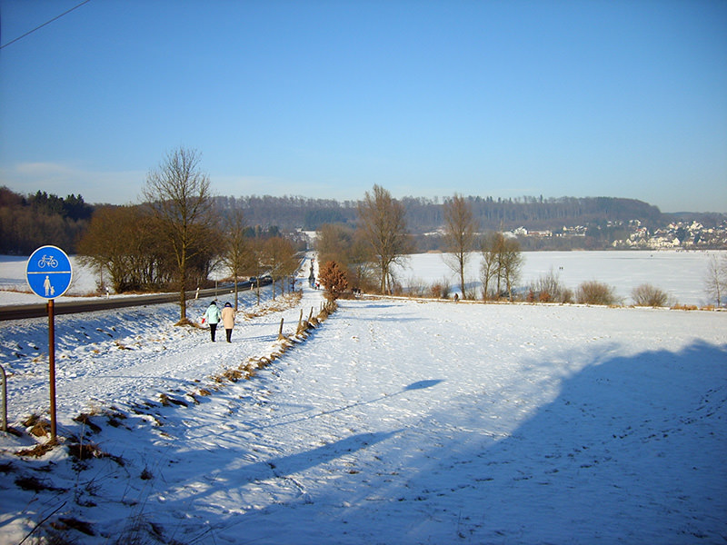 Verschneiter Weg am Wiesensee mit Spaziergängern, Bäumen und Blick auf das gegenüberliegende Ufer im Winter